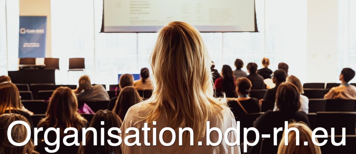 organisation.bdp-rh.eu